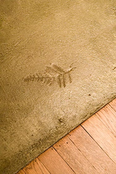 Leaf imprint in concrete flooring