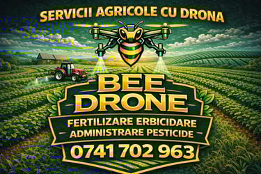 BEE Drone logo