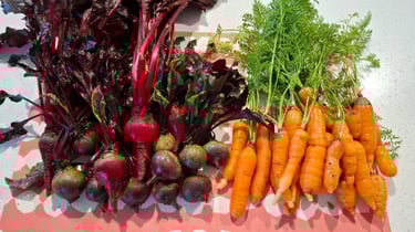 Home-grown organic vegetables harvested by hand and used at Aroha Dosas to support sustainable South Indian food