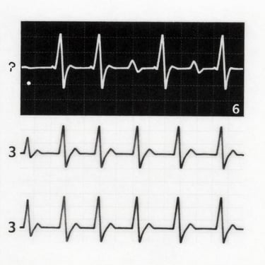 A curved facade covered in white latticework