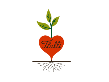 Raíz Viva logo