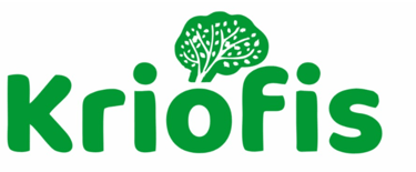 Erdvėja logo