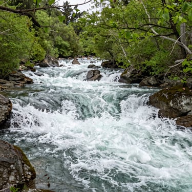 photo of white staircase