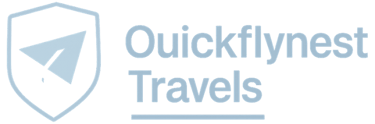 quickflynest logo