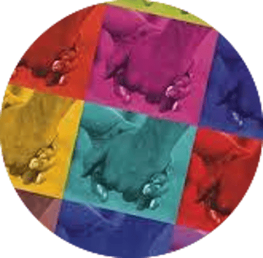 Insieme Flux logo