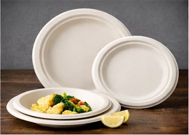 Biodegradable sugarcane bagasse plates and bowls set for eco-friendly catering and parties.