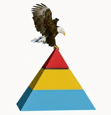 "Absolutly dimension" Isolamento acústico e pinturas logo