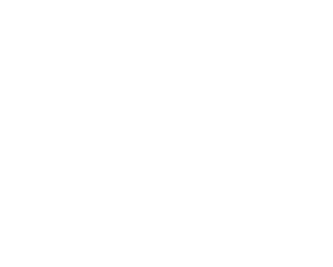ZOD Detailing logo