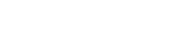 DISPLAY SOLUTION logo