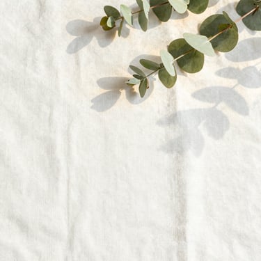 A serene, minimalist wellness space bathed in soft natural light with calming earth tones and subtle greenery.