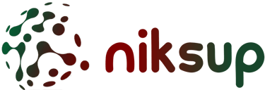 NIKSUP Solutions logo