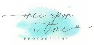 Tender Moments Studio logo