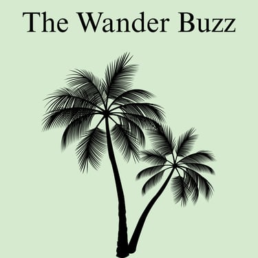 ViaLuz logo