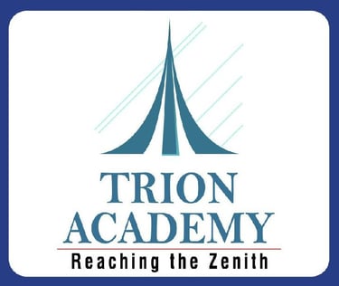 trion academy logo