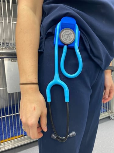 A healthcare professional wearing blue scrubs with a turquoise stethoscope secured in a blue clip-on holder.