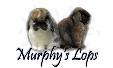 Murphy's Lops logo