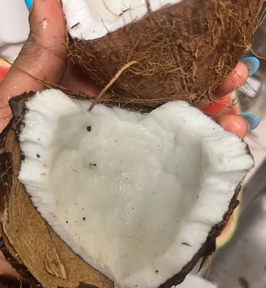 A hand holding two halves of a cracked fresh coconut showing white meat and brown shell.