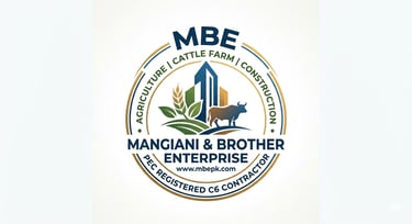 Mangiani and brother enterprise  logo