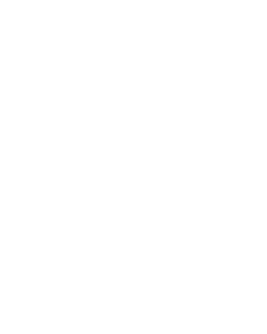 Copper Clues logo
