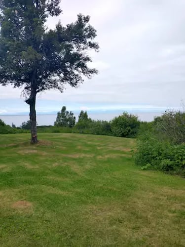 Lazy Moose View