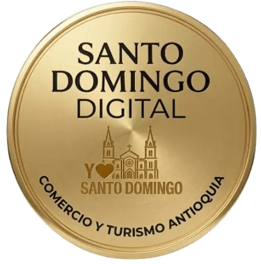 VivaDomingo logo