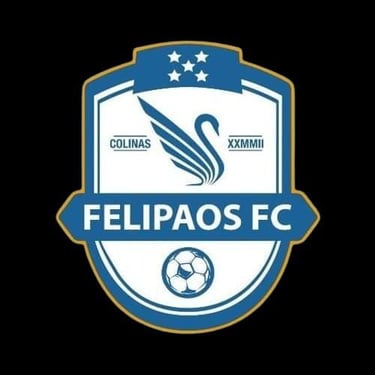 FELIPAOS FC logo
