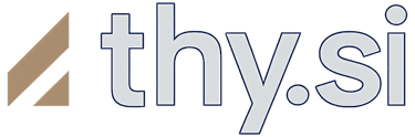 Thy.si Cleaning logo
