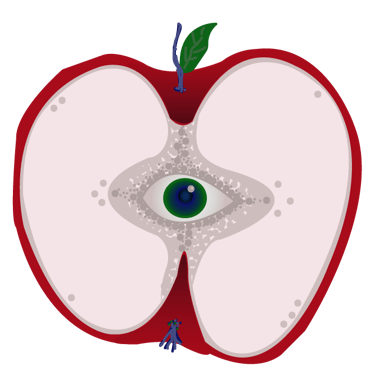 Thora logo