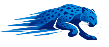 Blue Leopard Solutions logo