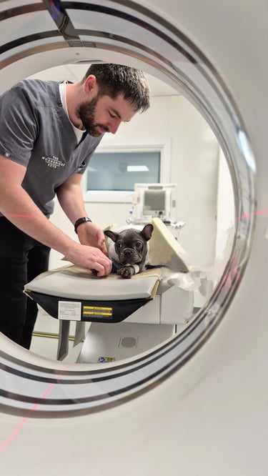 Dr Kyle Eadie The Woodbridge Vets - Reason Marketing Marketing Consultant