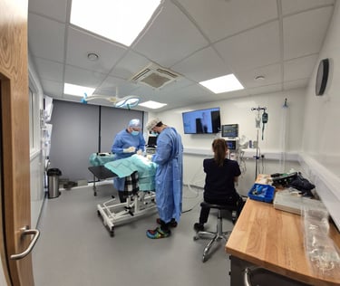 State of the art technology at The Woodbridge Vets - Reason Marketing Marketing Consultant