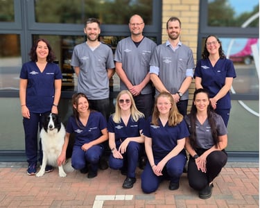 Award-winning The Woodbridge Vets - Reason Marketing Marketing Consultant