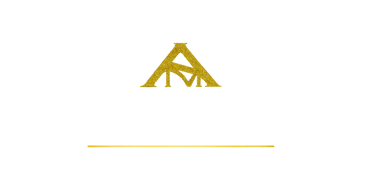 AMVERSE logo