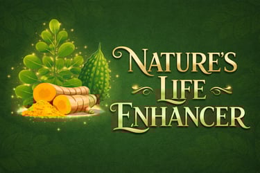 Nature’s Life Enhancer logo