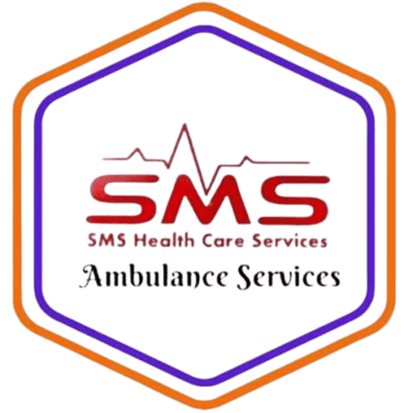 SMS HEALTHCARE SERVICES logo