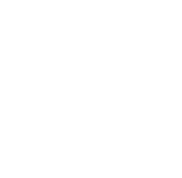 Bárbara Pet Sitter - Cuidados e Passeios com Cães logo