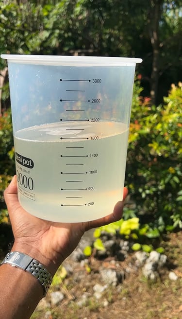 Extra Virgin Coconut Oil Crystal Clear Ancient Gift Farm