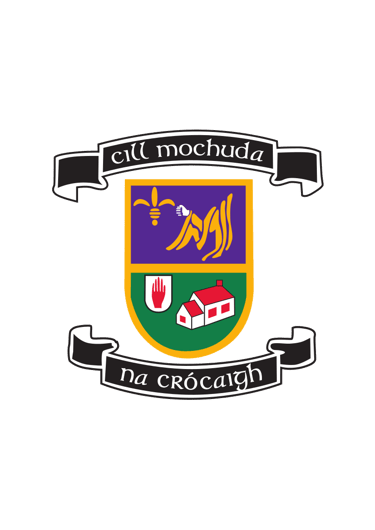 Kilmacud Crokes All Ireland Camogie 7s logo
