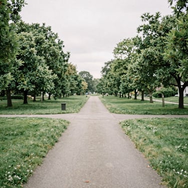A professional landscaper in a high-visibility vest standing in a lush Oceanic / Australian (Victoria) garden setting.