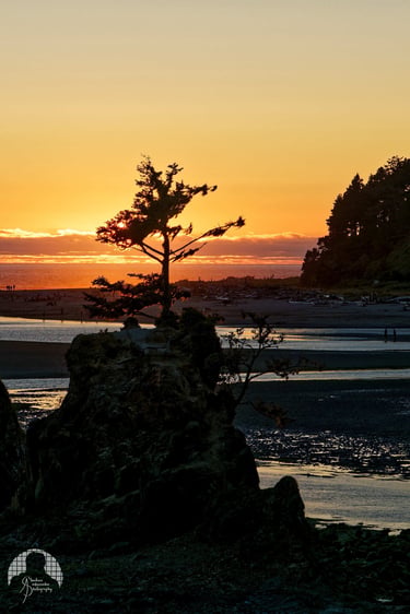 The Oregon Quiet