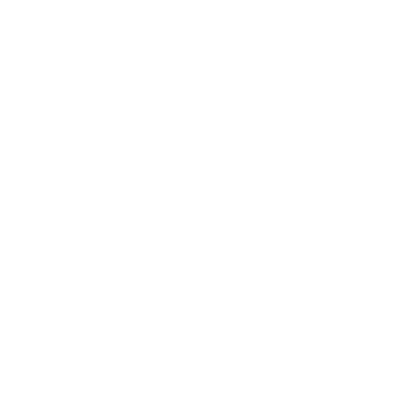 Village Pierre logo