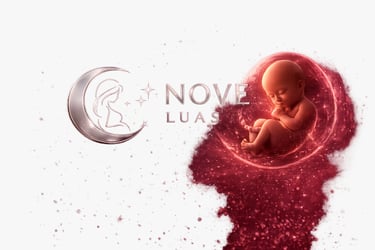 Nove Luas logo