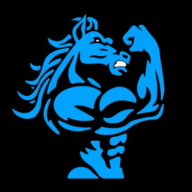 Suplementos Pavan LTDA logo
