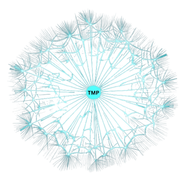 The Meta Project logo