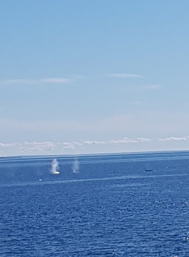 tadoussac