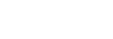 Wall Saint logo