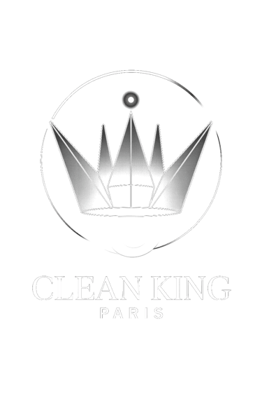 Clean king Nettoayge & Services logo