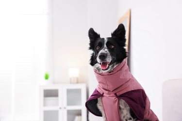 ropa para perros a la medida sudadera invernal color rosa