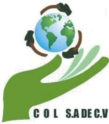 rellenossanitariosoaxaca.com logo