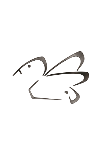 BirdFly Media logo